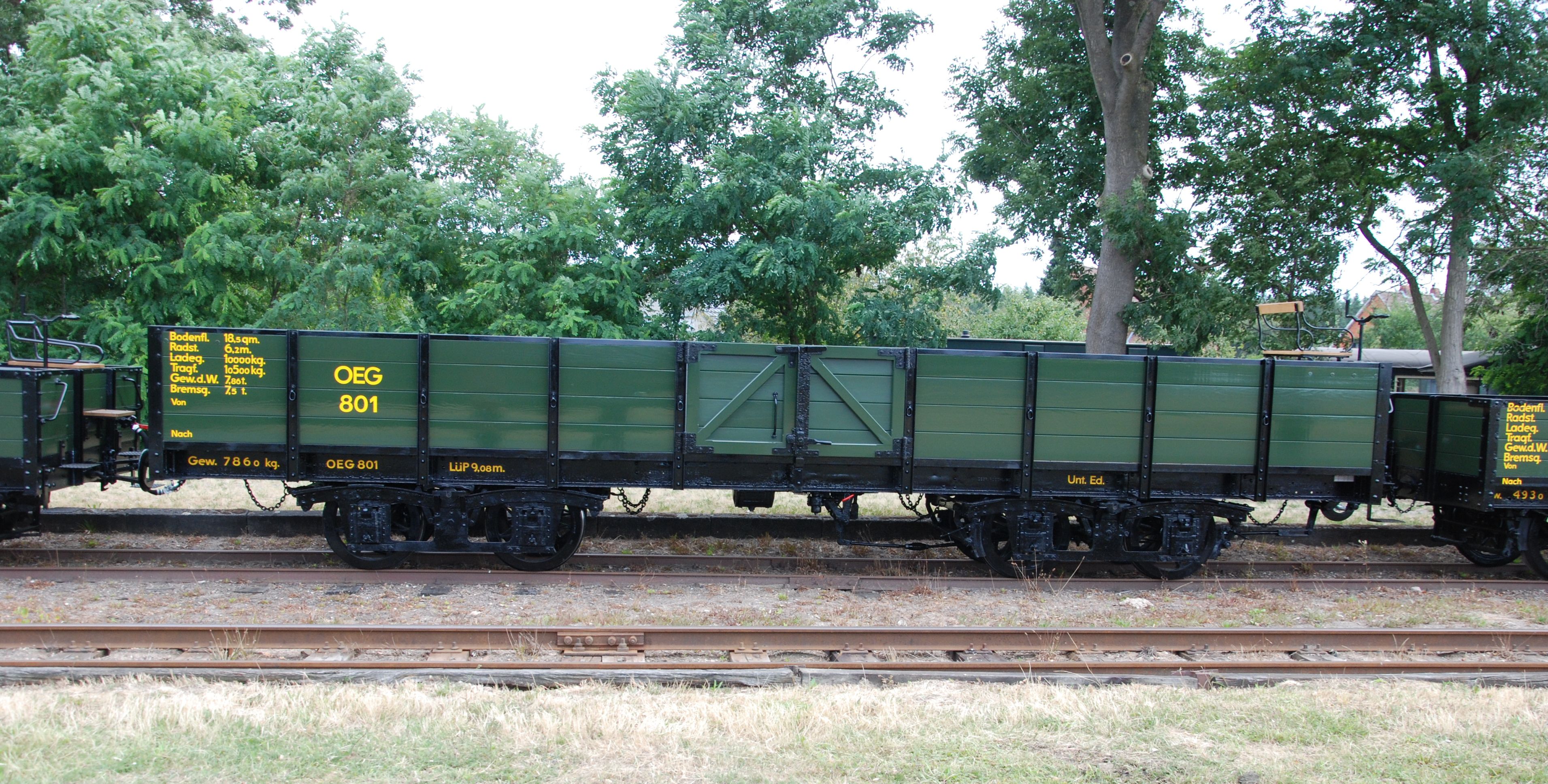 OEG801