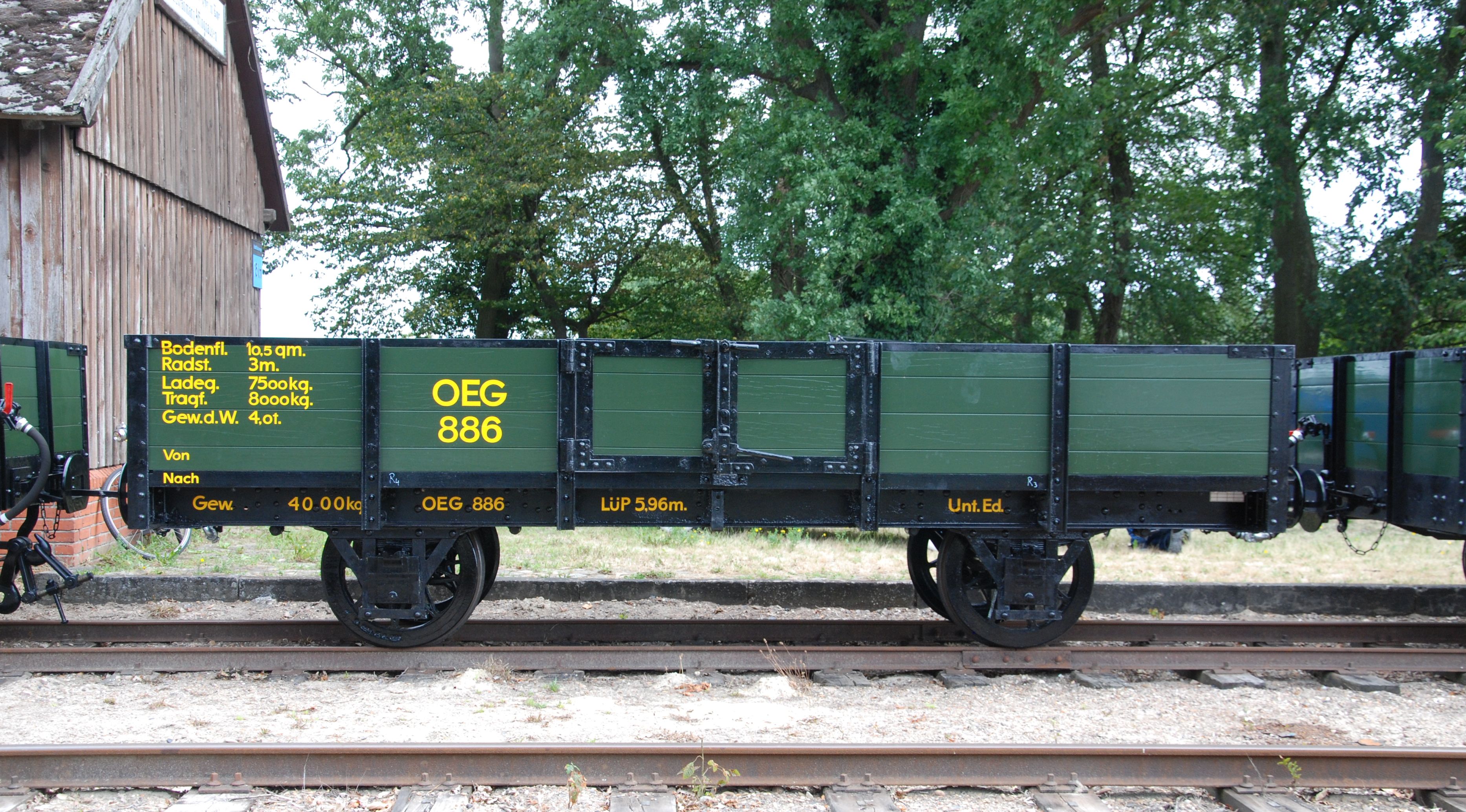 OEG886