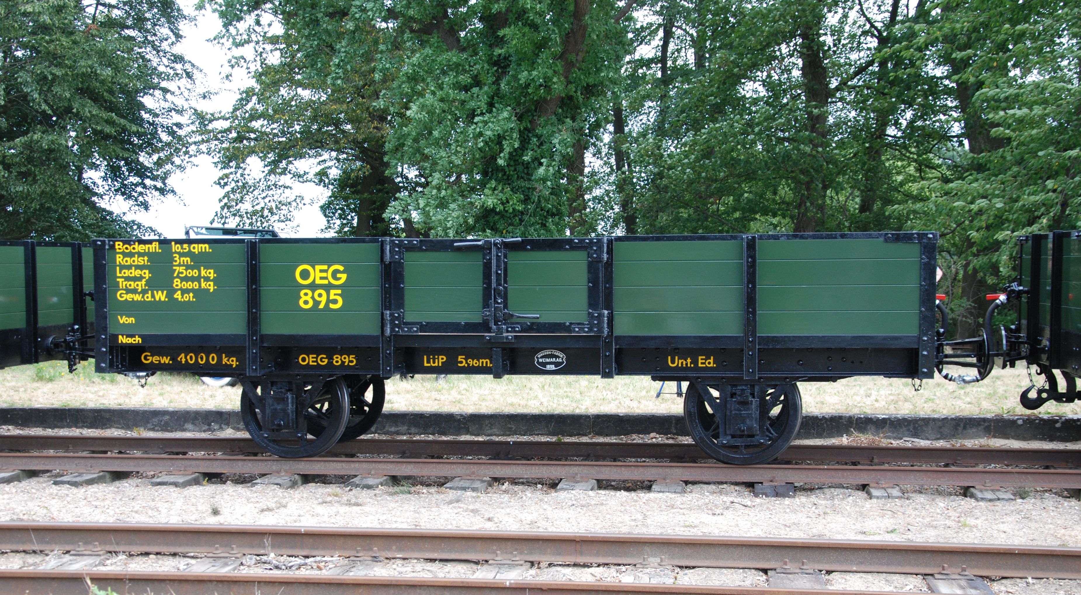 OEG895